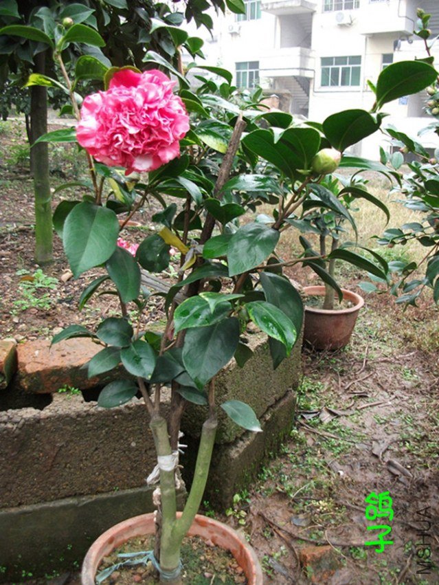 DSCF3094_����_����.jpg