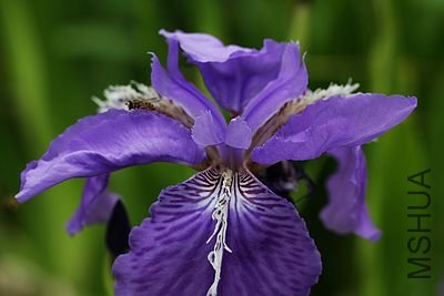 IMG_56611.jpg