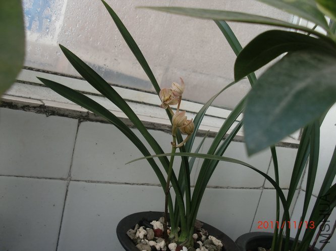 2��֪���ذ�