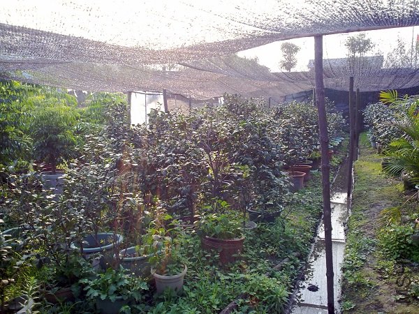 20111112196.jpg