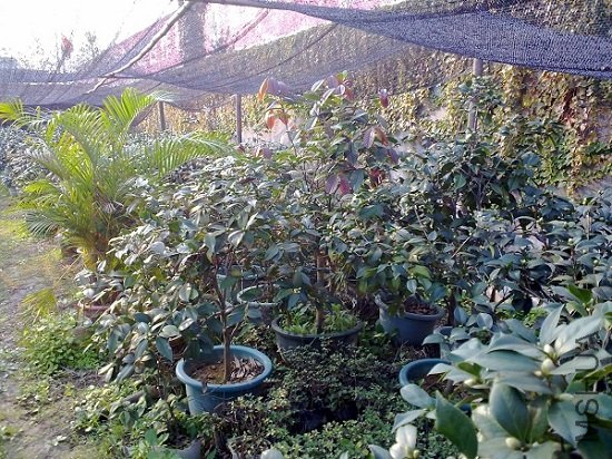 20111112197.jpg