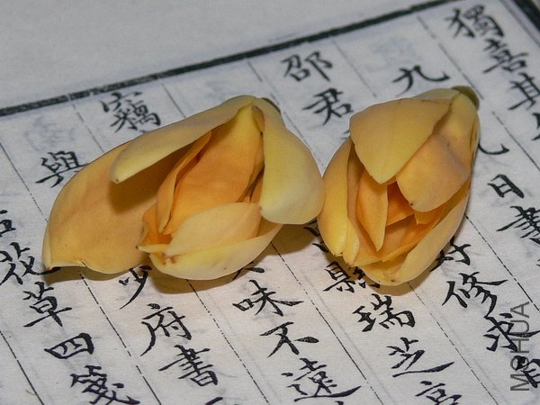p1299547030.jpg