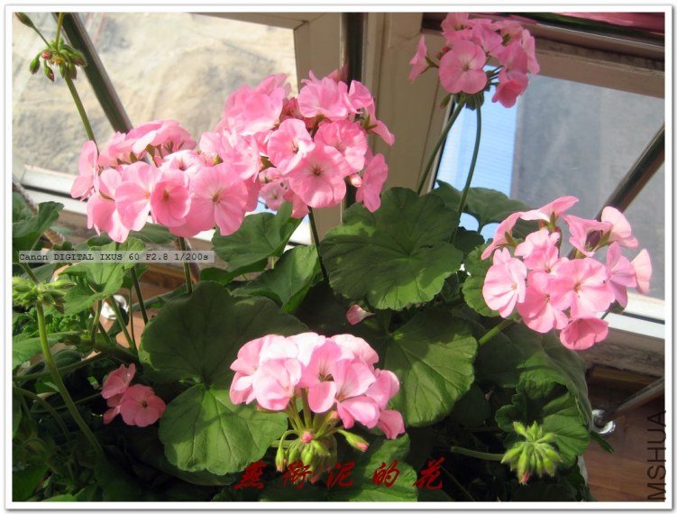 ��С��09 029.jpg