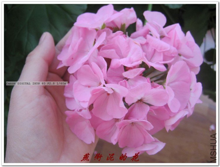 09���� 019.jpg