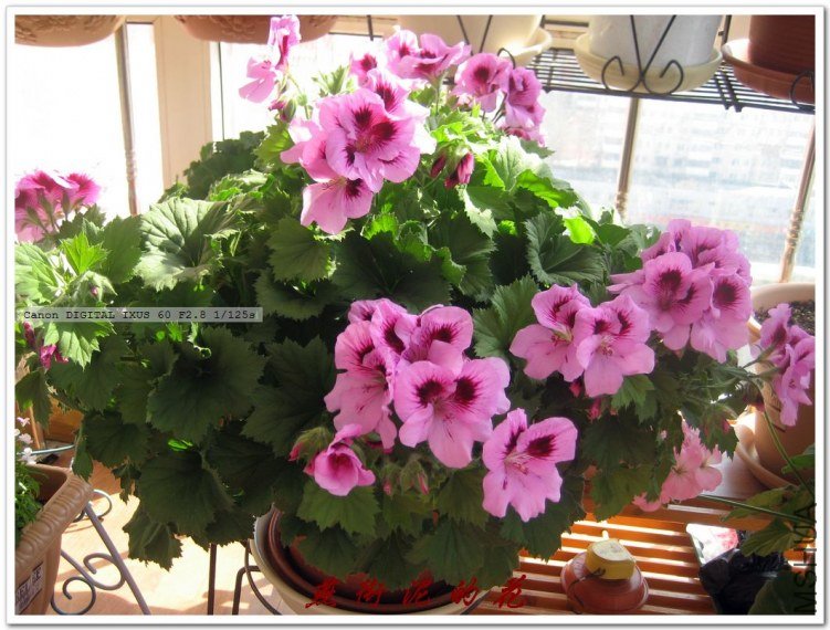 09���� 062.jpg