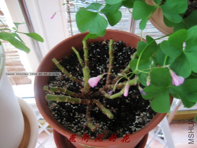 Ϊ������ͷ 012.jpg