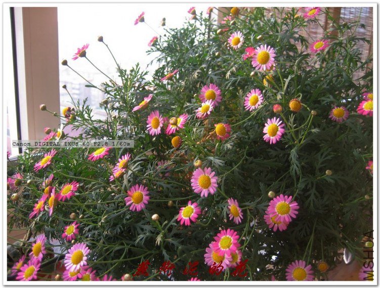 09���� 025.jpg