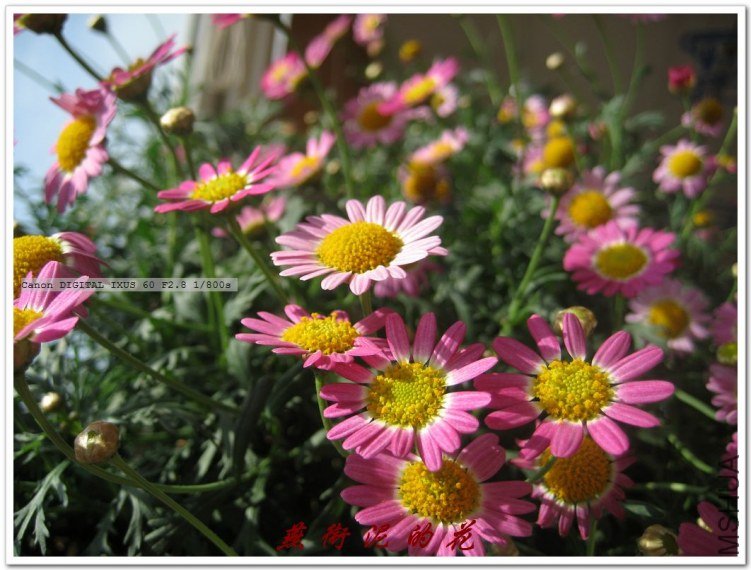 09���� 045.jpg