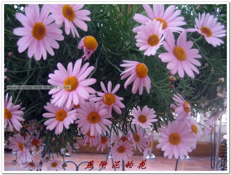 2010��֮һ 066.jpg