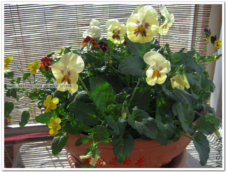 09���� 047.jpg