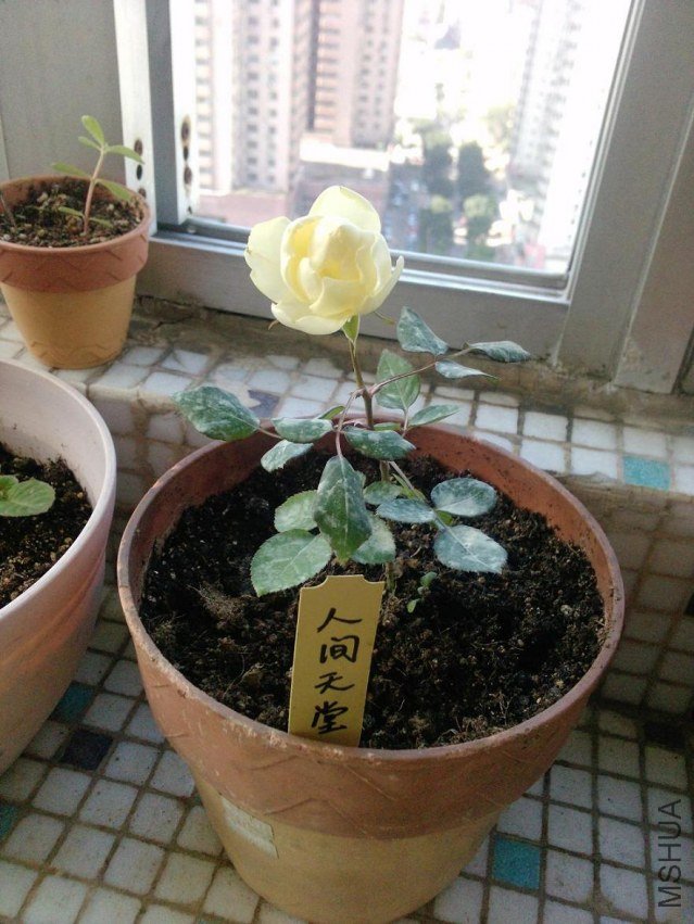 P1046_12-11-11.JPG
