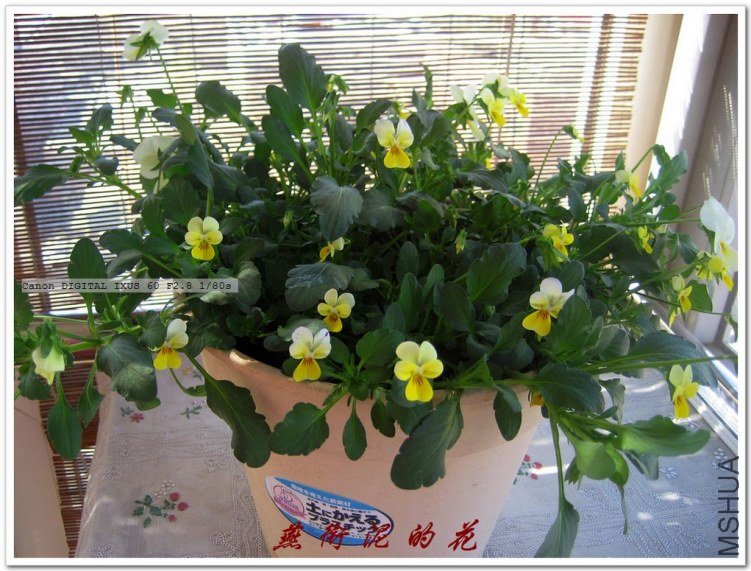 09���� 066.jpg