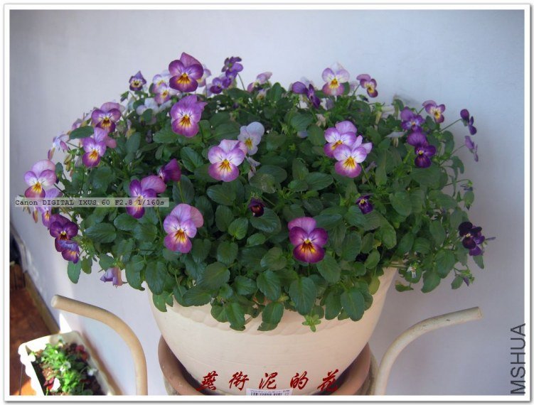 09���� 085.jpg