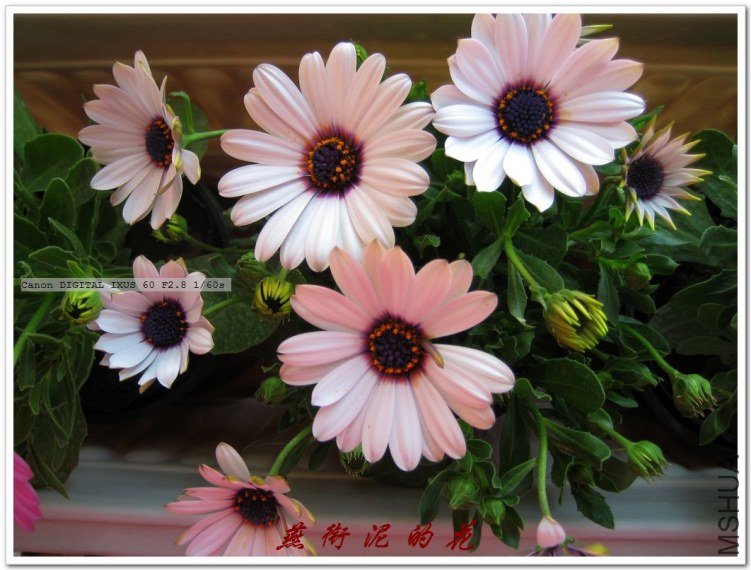 ���� 064.jpg