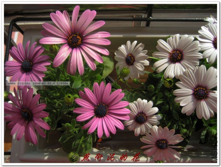 ���� 072.jpg