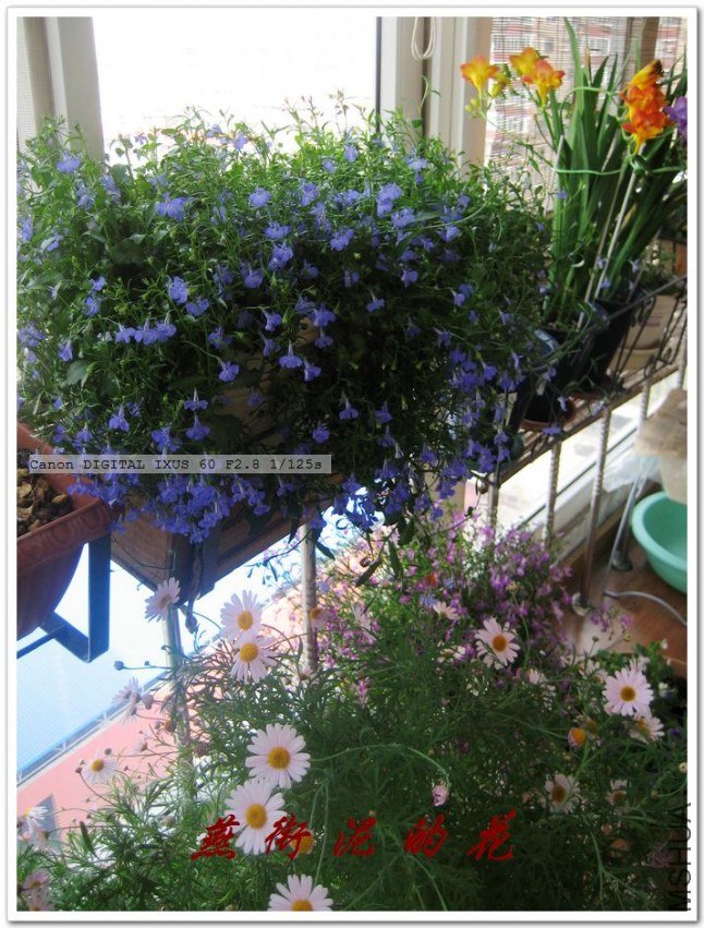 2010��֮һ 040.jpg