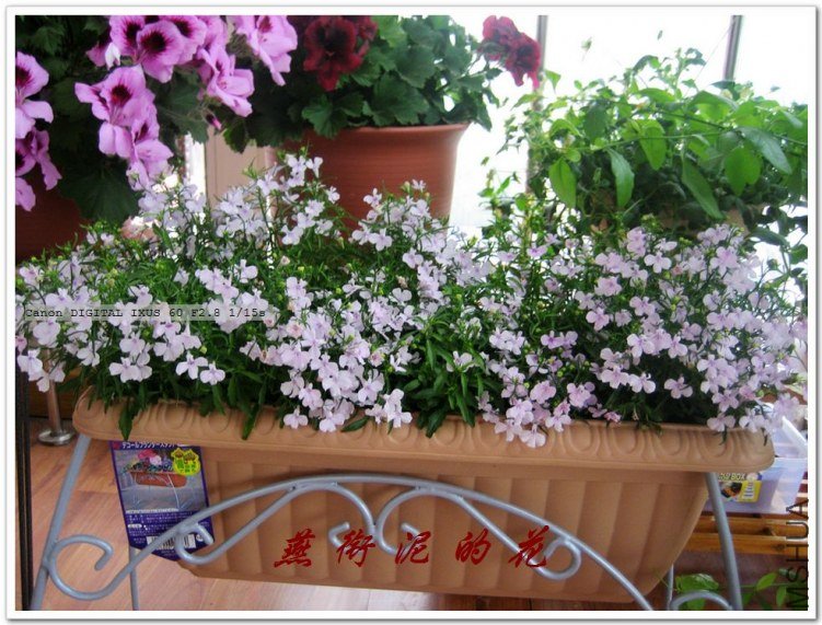 С�������� 077.jpg