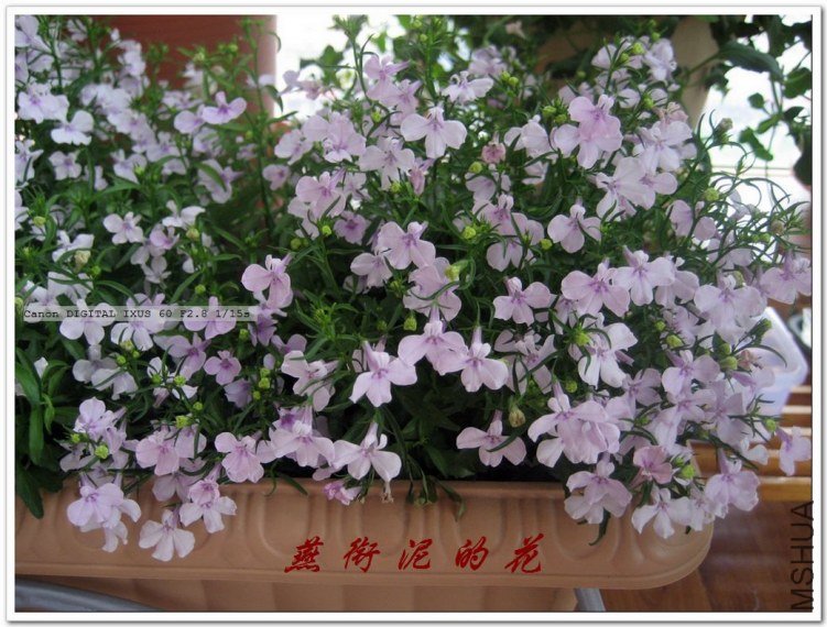 С�������� 083.jpg