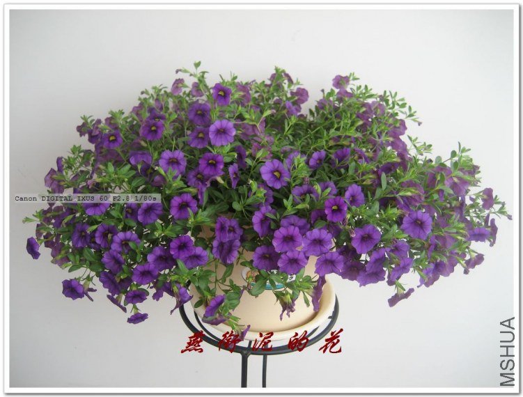 С�塢���� 011.jpg