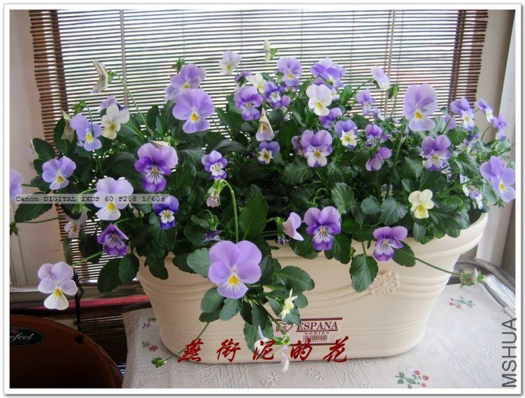 С�������� 063.jpg