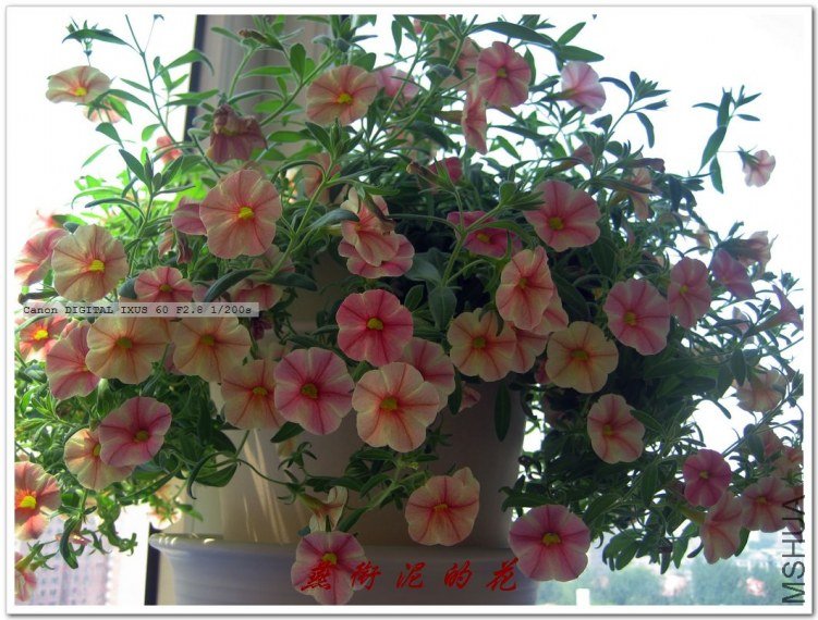 ����옷 015.jpg