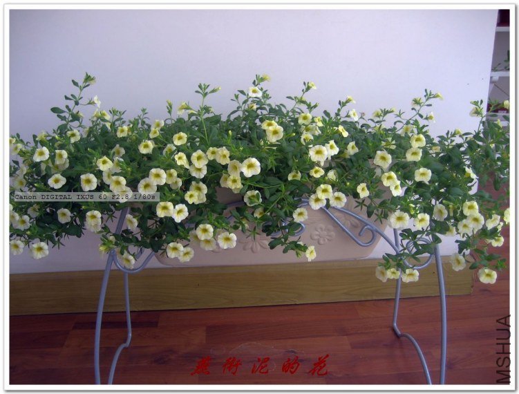 ����옷 001.jpg