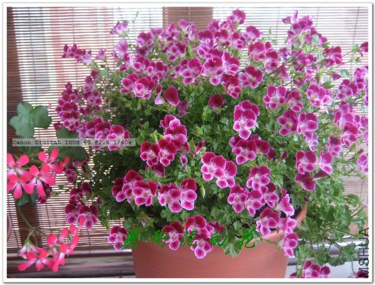 С�塢���� 067.jpg