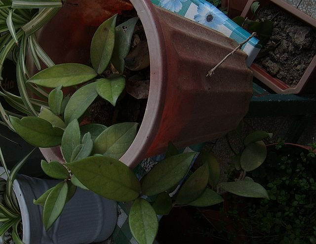 DSC07464.JPG