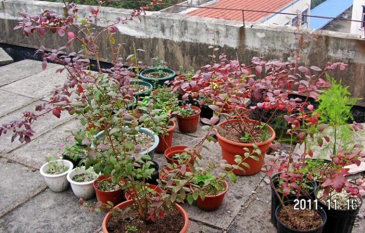 PICT0001.JPG