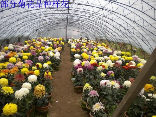 DSCN4836.JPG