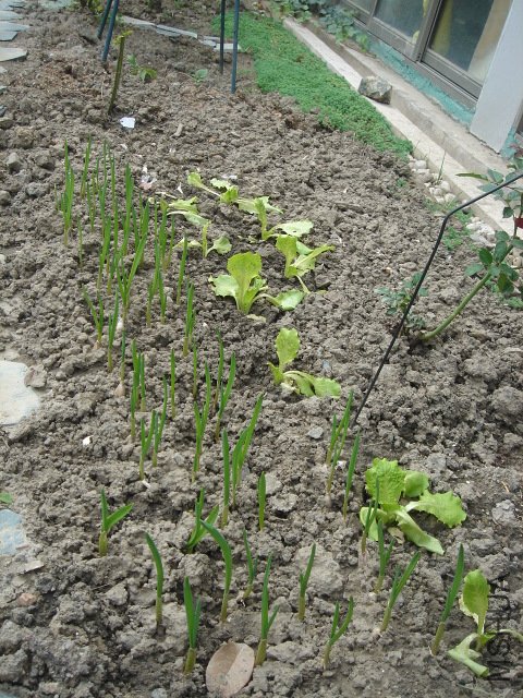 DSC03798.JPG