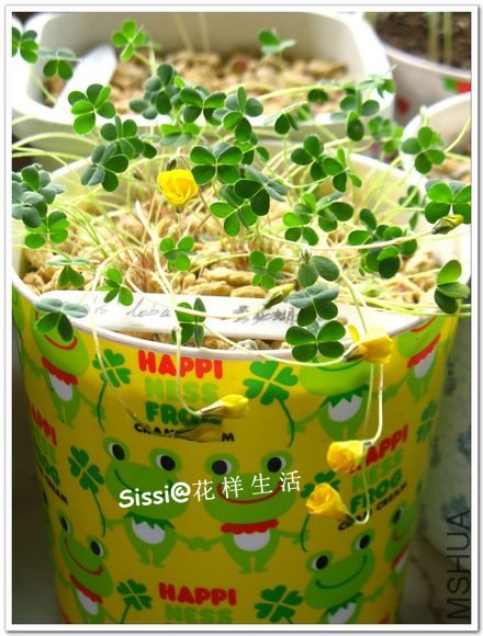 �ƺ��� 1.jpg