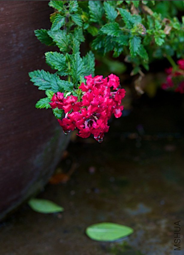��Ļ���� 2011-11-18 ����11.56.21.jpg