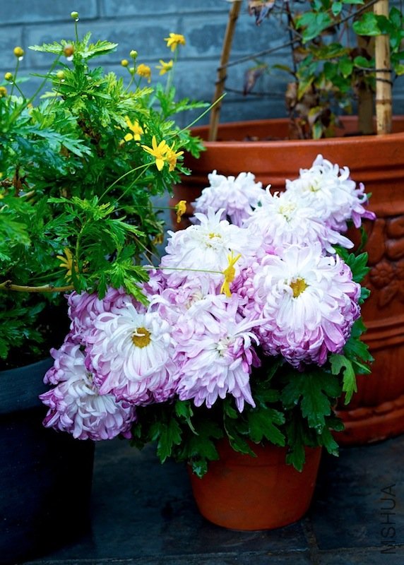 ��Ļ���� 2011-11-17 ����11.11.43.jpg