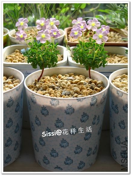 ҹ�㿪�� 2.jpg