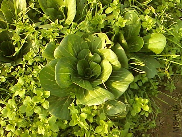 IMG1112143103.jpg