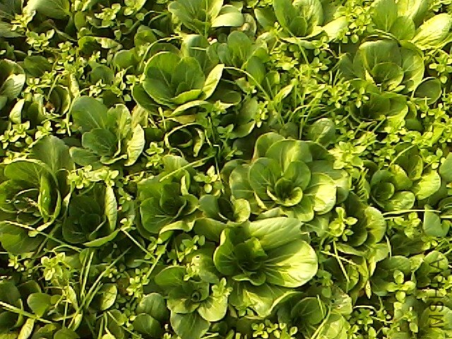 IMG1112143104.jpg