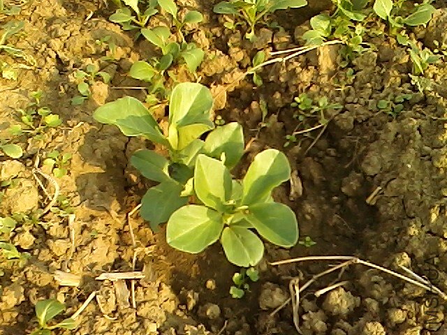 IMG1112143200.jpg