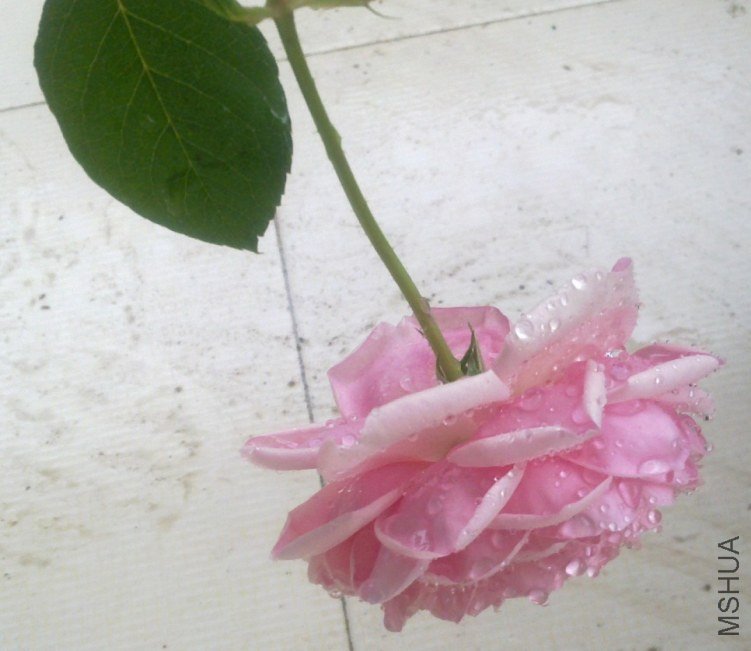 20111119144 - ����.jpg