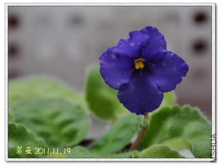 Parkseed ������.jpg