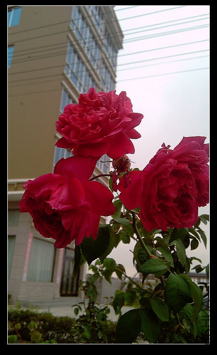 IMAG1290.jpg