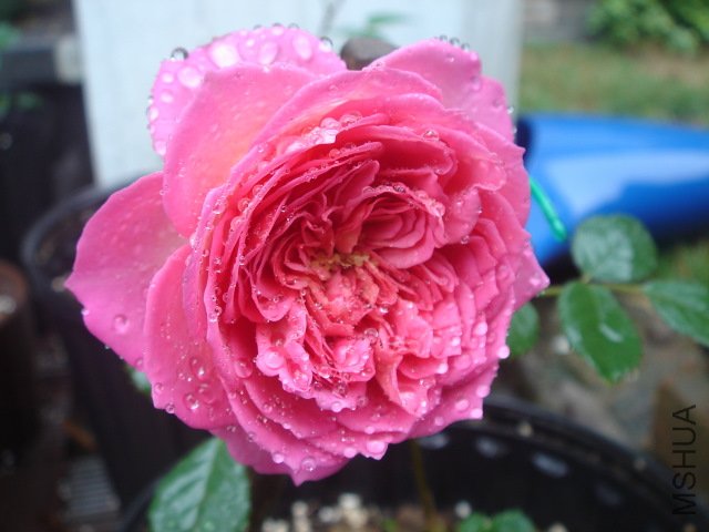 DSC03801.JPG