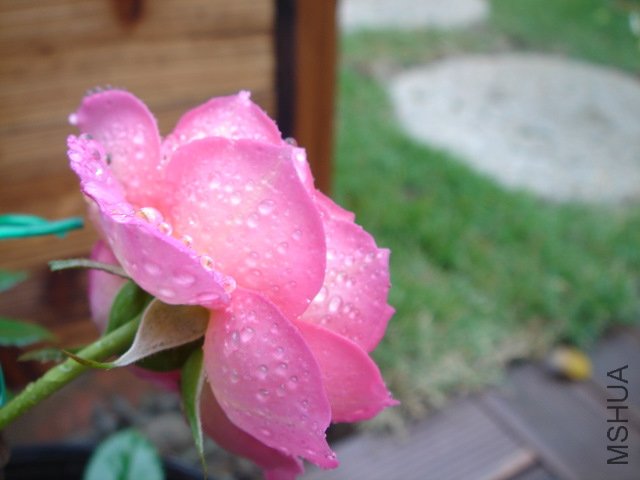 DSC03809.JPG