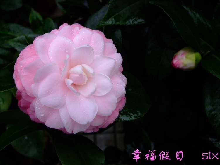 �Ҹ����� 2011-11-19fu (3).jpg