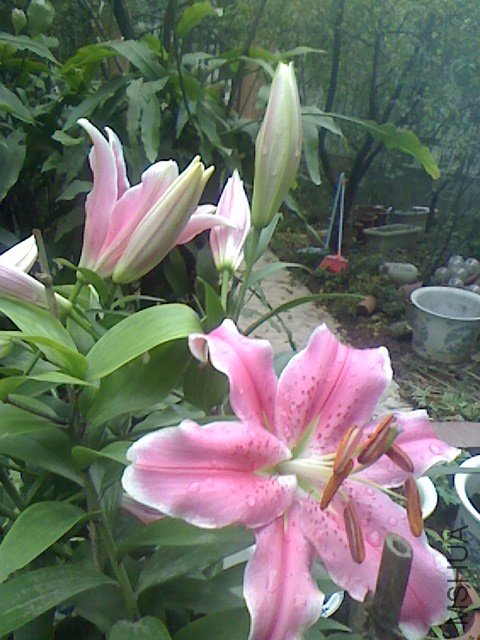 IMG1119075402.jpg