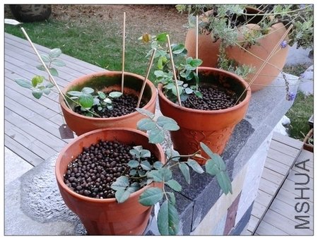 2011-11-21 07.30.26.jpg