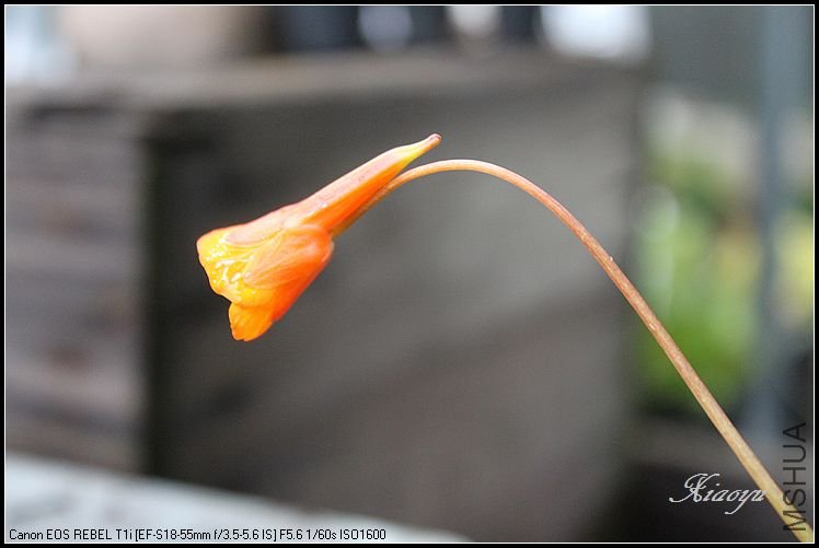 IMG_2272.JPG
