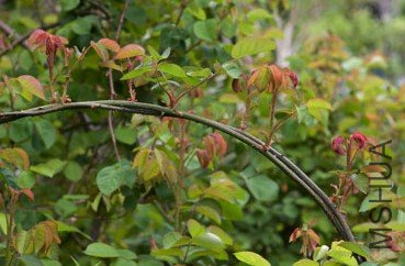 QQ��ͼ20111121154752.jpg