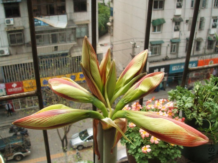 DSCF4802.jpg