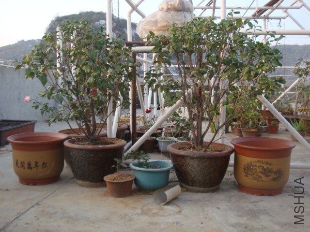 DSC06863.JPG